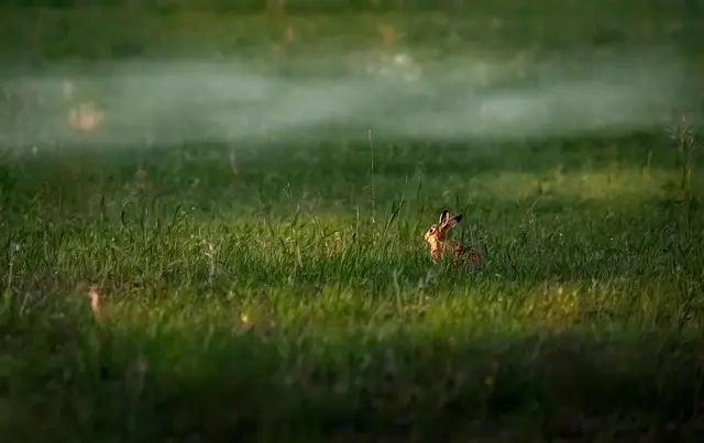 Tendencias actuales en información actualizada que debes conocer