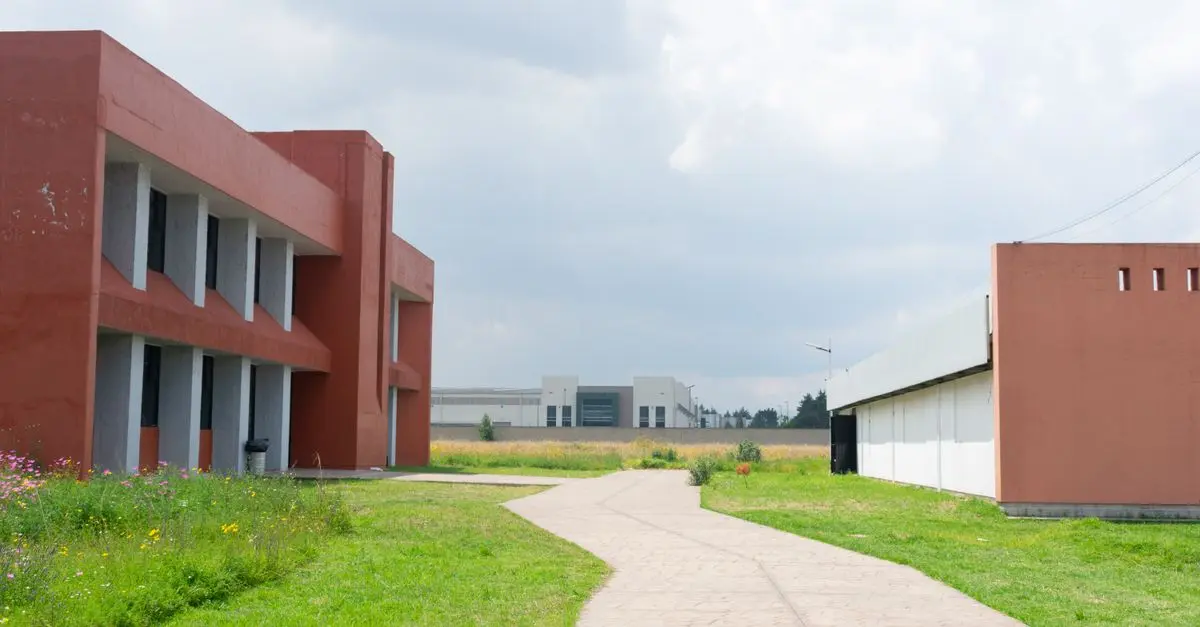 Cómo detectar información actualizada y fiable en línea